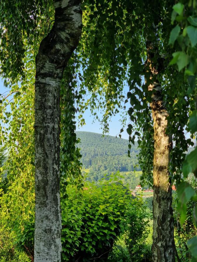 Naszjestwasz Villa Gorki Male  Luaran gambar